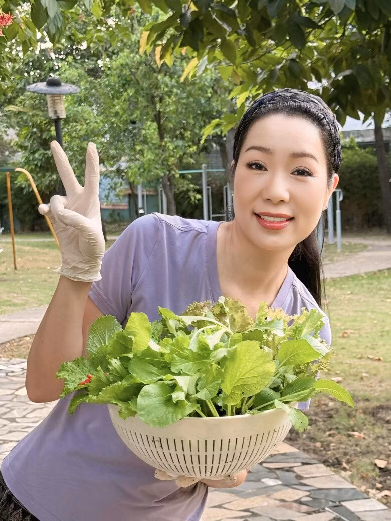 Rau cải, rau thơm, xà lách...đều xanh non mơn mởn. Ảnh: FB Trịnh Kim Chi