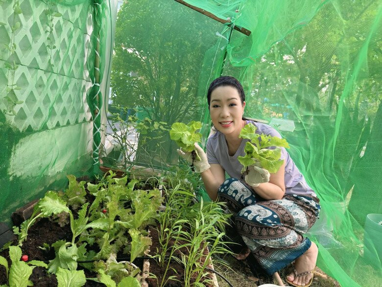 Mỗi ngày, vườn rau càng thêm xanh tươi. Ảnh: FB Trịnh Kim Chi