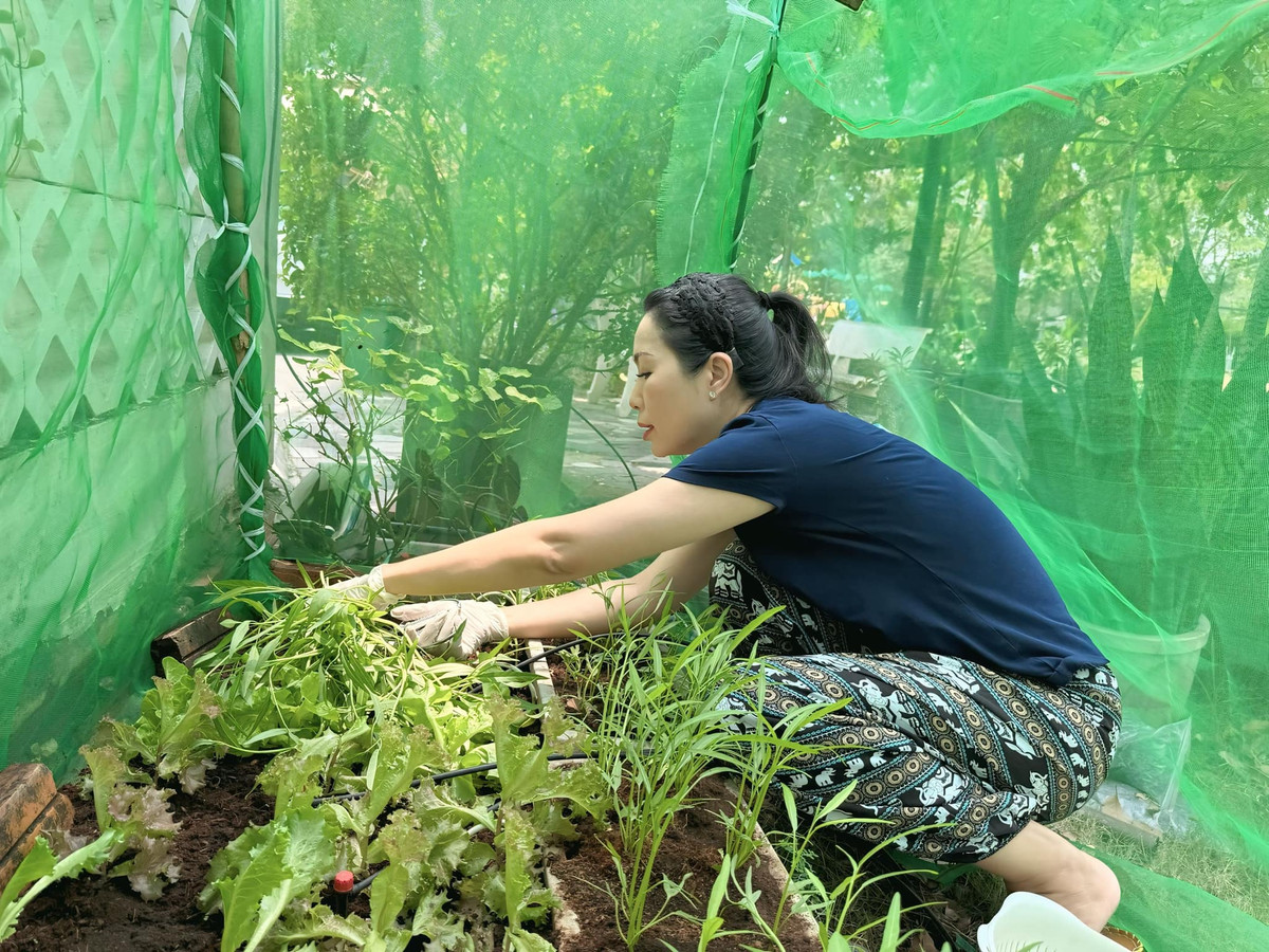 Nhờ vậy, vườn rau tươi xanh ngắn mê mệt. Ảnh: FB Trịnh Kim Chi