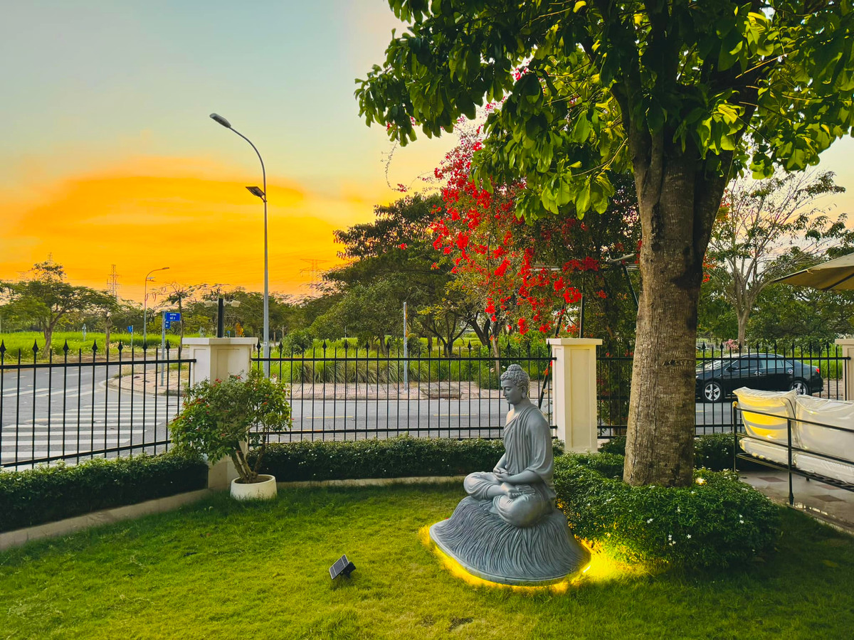 Góc vườn an yên tĩnh có khiến gia chủ lắng nghe từng chiếc lá rơi. Ảnh: FB Nguyễn Quốc Trường