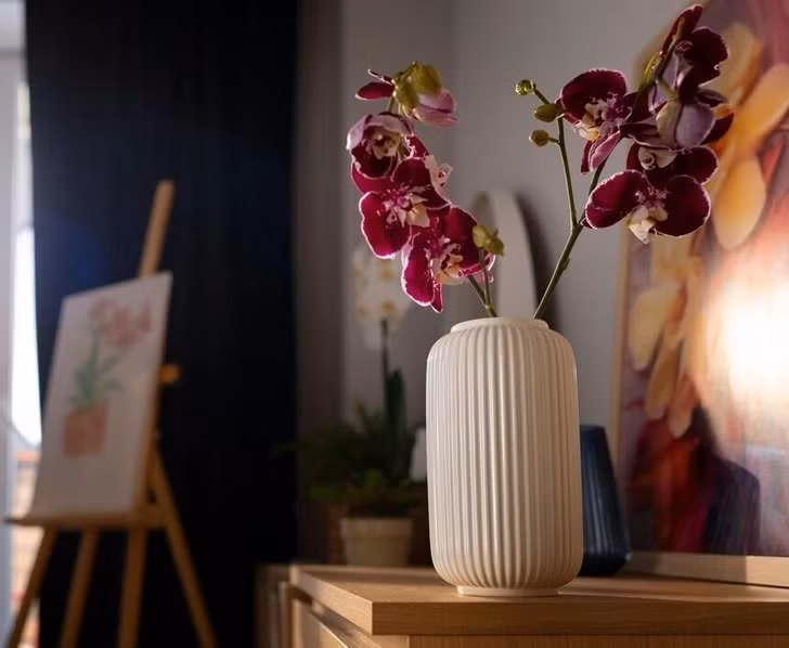 Các họa tiết hoa theo phong cách cũ, từng bị coi là lỗi thời, đang có sự hồi sinh đầy phong cách trong thiết kế nội thất. Ảnh: Reddit