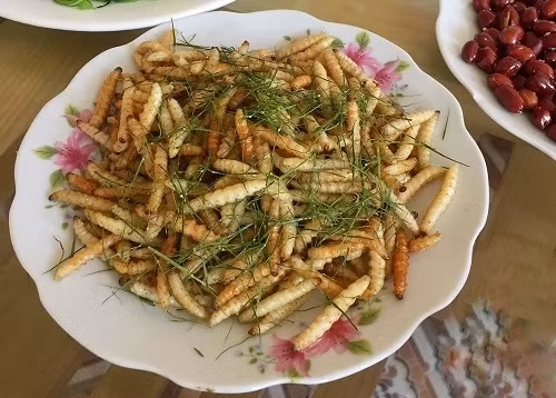 Sâu chít tươi thường dùng để rang, nướng, xào trứng. Ở một số nơi, người ta còn làm món cháo, xôi, ăn kèm sâu chít. Ngon và phổ biến nhất là sâu chít xào lá chanh. ảnh: Báo Cao Bằng