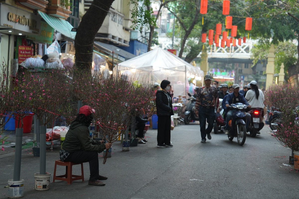 Chị Thu, một tiểu thương bán hoa đào tại chợ Hàng Lược chia sẻ: "Năm nay, tôi thấy lượng khách đến mua hàng khá đông. Nhiều người đến đây không chỉ để mua hoa mà còn để tận hưởng không khí Tết. Tôi rất vui vì được phục vụ khách hàng và mong rằng năm nay sẽ có một cái Tết thật ấm áp". Ảnh: Khánh Huy
