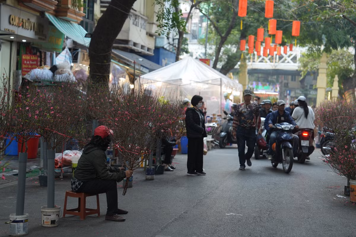 Chị Thu, một tiểu thương bán hoa đào tại chợ Hàng Lược chia sẻ: "Năm nay, tôi thấy lượng khách đến mua hàng khá đông. Nhiều người đến đây không chỉ để mua hoa mà còn để tận hưởng không khí Tết. Tôi rất vui vì được phục vụ khách hàng và mong rằng năm nay sẽ có một cái Tết thật ấm áp". Ảnh: Khánh Huy