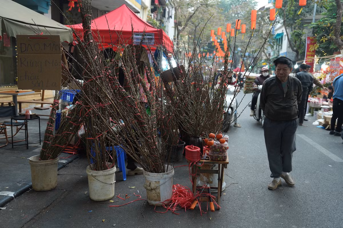 Năm nay, chợ hoa Tết Hàng Lược vẫn không làm người dân thất vọng với sự đa dạng của các loại hoa, cây cảnh. Ảnh: Khánh Huy