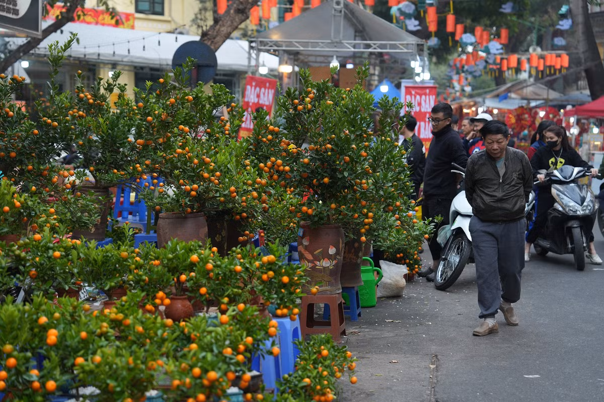 Giá cả các loại hoa, cây cảnh năm nay có sự biến động so với năm trước. Theo các tiểu thương, giá cả phụ thuộc vào nhiều yếu tố như thời tiết, chất lượng sản phẩm và nhu cầu của thị trường. Ảnh: Khánh Huy