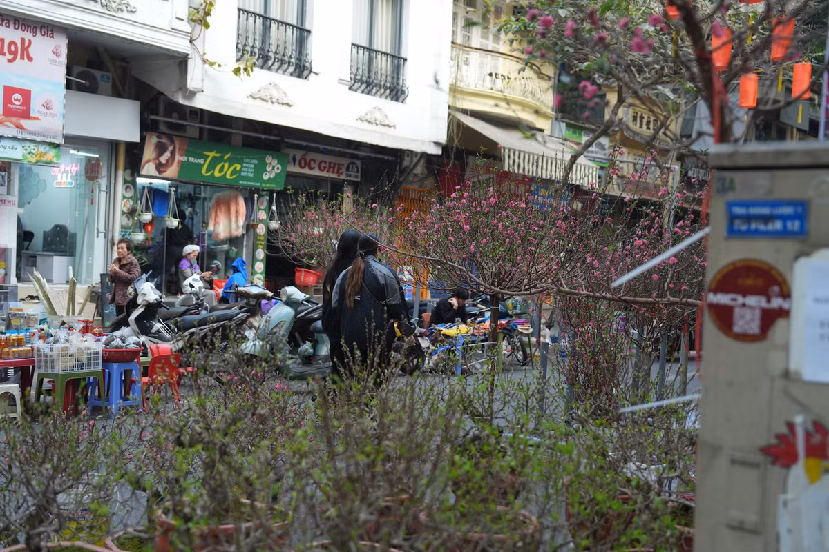 Những ngày cận Tết là thời gian chợ hoa Hàng Lược nhộn nhịp nhất. Ảnh: Khánh Huy