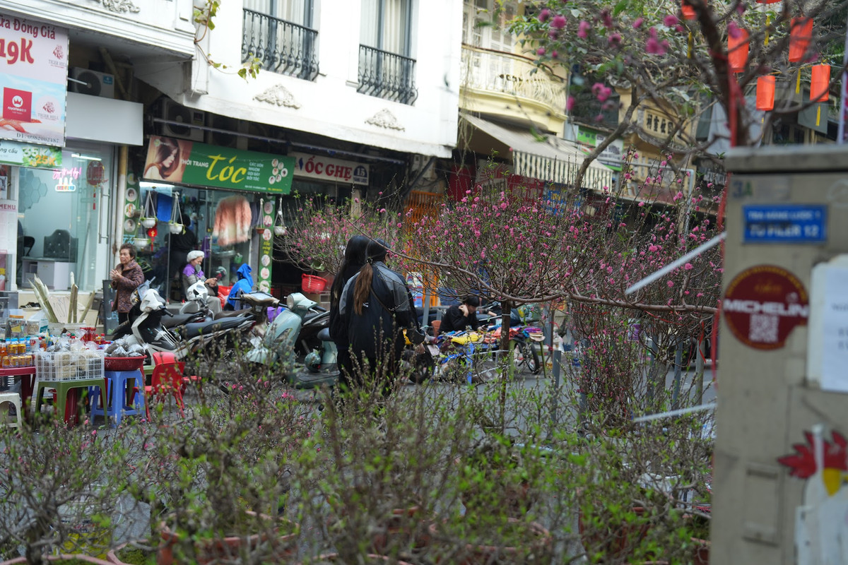 Những ngày cận Tết là thời gian chợ hoa Hàng Lược nhộn nhịp nhất. Ảnh: Khánh Huy