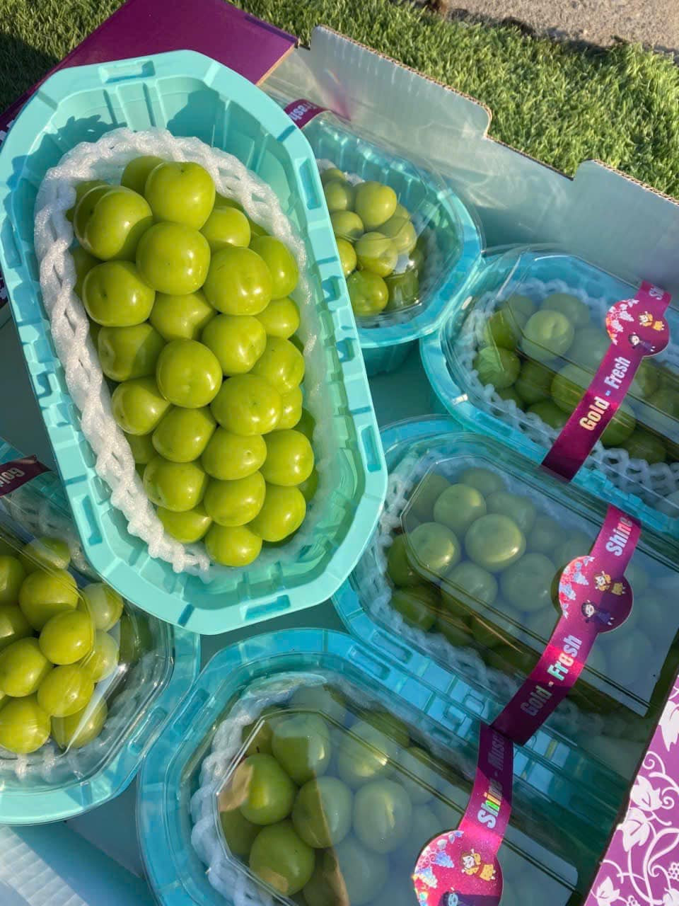 Cuối tháng 10 năm ngoái, nho sữa Trung Quốc dính vào lùm xùm có chất độc hại khiến nhiều người tiêu dùng Việt tỏ ra e ngại. Ảnh: Facebook