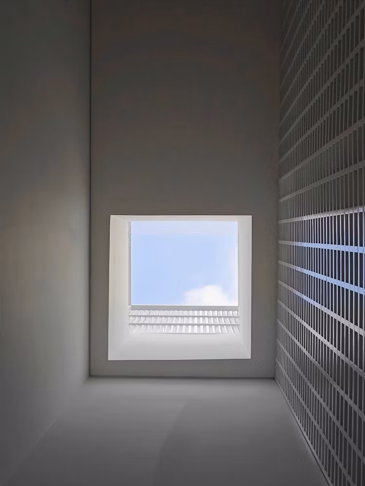 Ánh sáng tự nhiên tràn vào nhà thông qua đường cắt, giếng trời và các ô cửa kính lớn. Ảnh: Nguyễn Thái Thạch