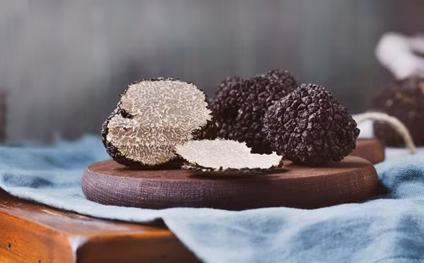 Từ xa xưa, nấm cục được giới quý tộc ưa chuộng và săn lùng nhờ chất lượng dinh dưỡng và hương vị đặc biệt. Ảnh: Better Homes