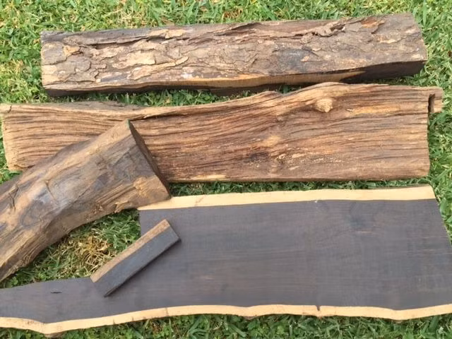 Gỗ đen châu Phi có dầu và khả năng hạn chế tình trạng gỉ sét hình thành trên dụng cụ. Ảnh: Palmers Armoury