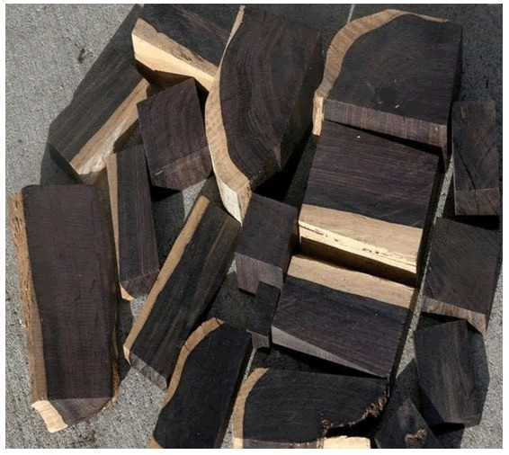 Không chỉ phát triển chậm, gỗ đen còn rất khó gia công nên các sản phẩm làm từ loại gỗ đen rất đắt. Ảnh: Getty