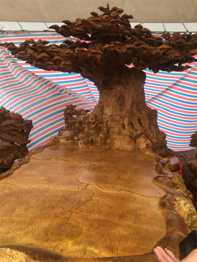 Chiều dài chiếc bàn làm từ gỗ nu đinh khoảng 4m, rộng lên đến 1,8m, chiều dài của ghế lớn khoảng 4m, cao 1,8m, 2 ghế nhỏ cao 2,1m, rộng 1,8m. Ảnh: Internet