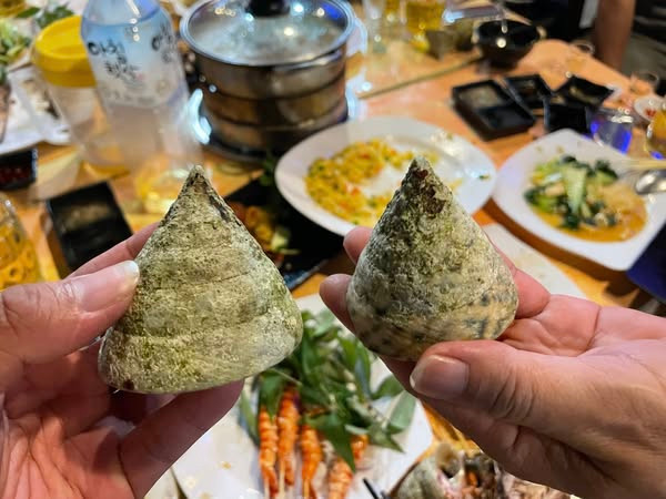 Ốc vú nàng sinh sống trên các ghềnh đá tại một số nơi như biển Côn Đảo, Cù Lao Chàm (Quảng Nam), Khánh Hòa, trong đó Côn Đảo được xem là nơi có ốc vú nàng to nhất. Ảnh: Facebook