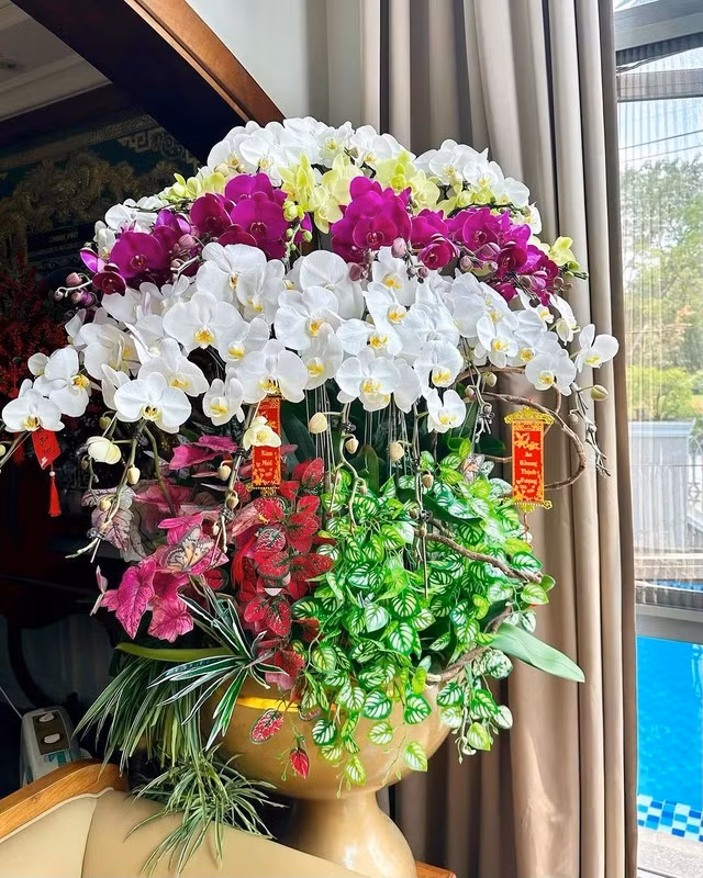 Chậu lan hồ điệp khiến dân tình trầm trồ vì quá ấn tượng và bắt mắt. Ảnh: FB Bảo Thy