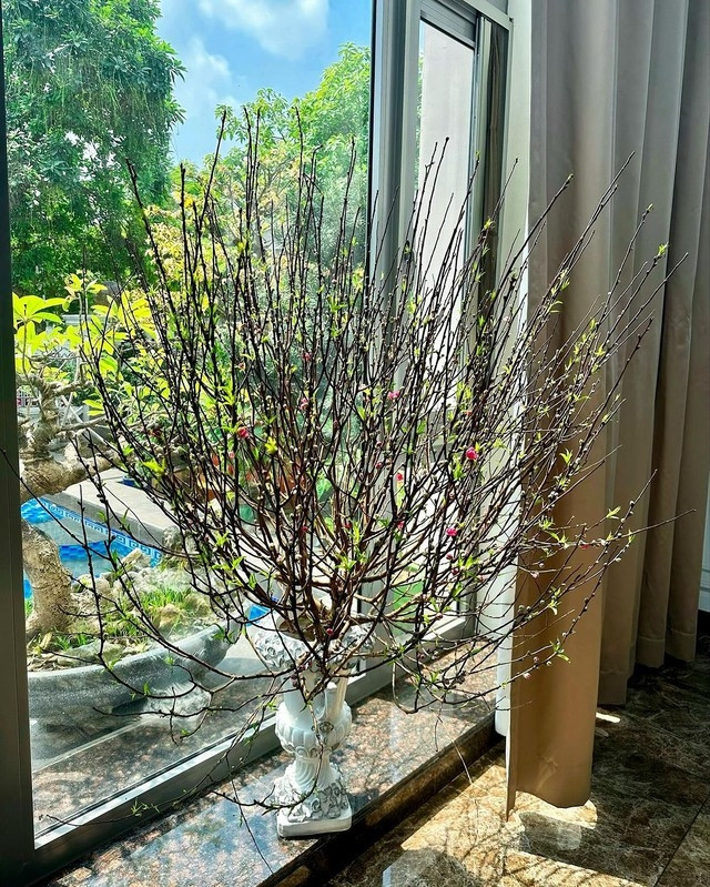 Tết năm ngoái, Bảo Thy chọn những loại hoa hết sức quen thuộc như: hoa đào, hoa mai, đào đông, hoa mào gà và hoa lan. Ảnh: FB Bảo Thy