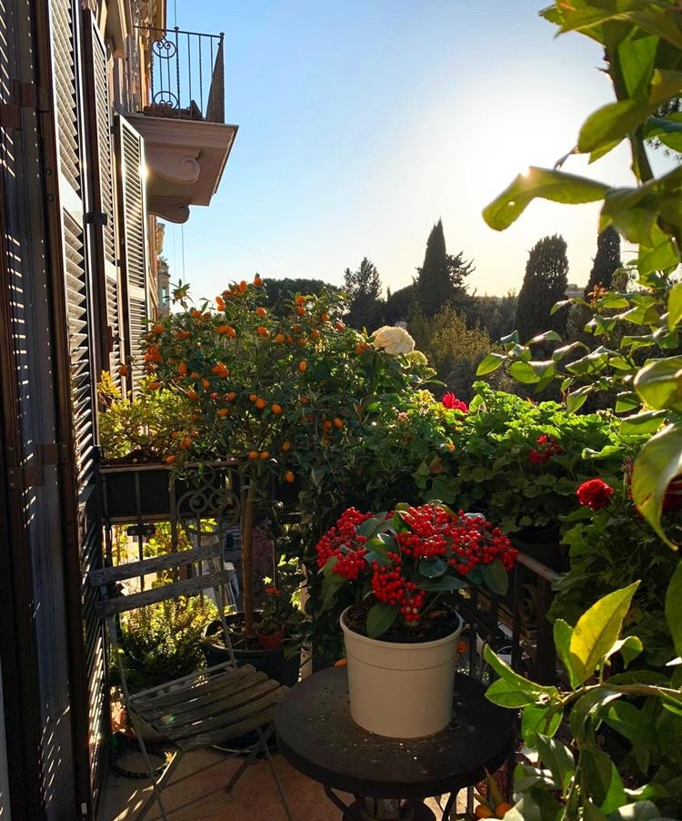 Ban công nhỏ nhưng ngập tràn sắc hoa. Ảnh: Vietnamnet