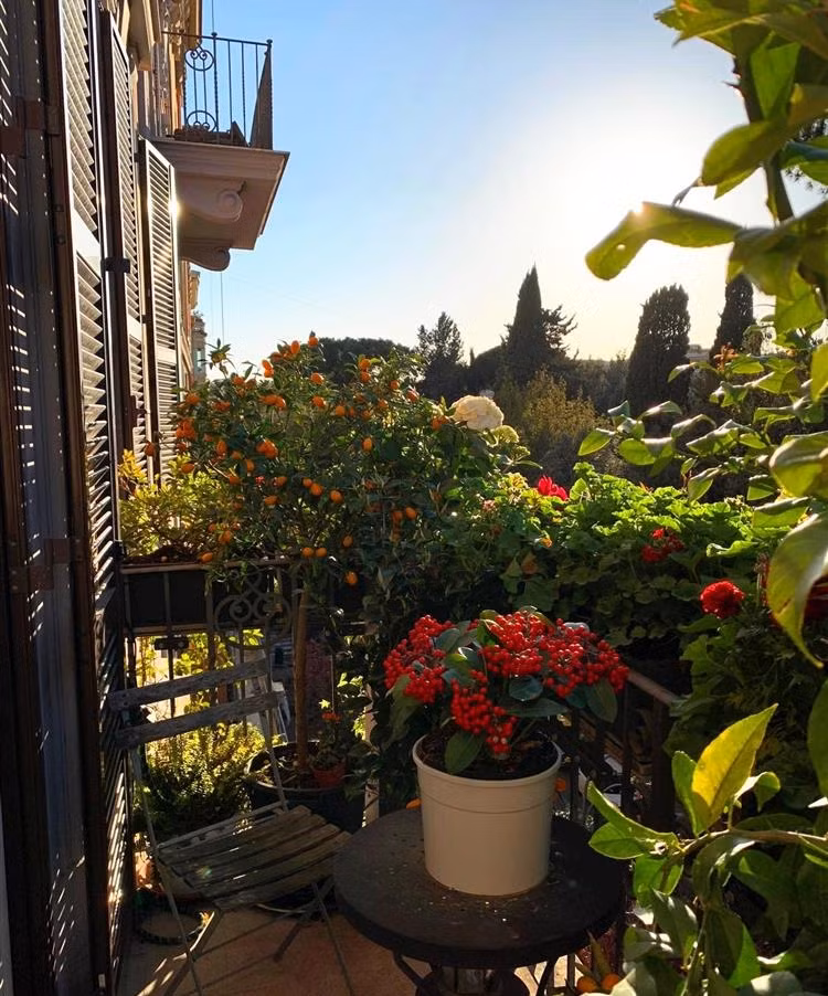 Ban công nhỏ nhưng ngập tràn sắc hoa. Ảnh: Vietnamnet