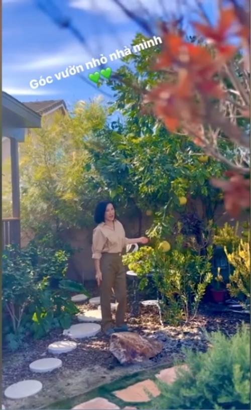 Mới đây trên trang cá nhân, nữ nghệ sĩ chia sẻ góc vườn nhỏ rực rỡ sắc hoa trong căn biệt thự thu hút sự chú ý của khán giả. Ảnh chụp màn hình