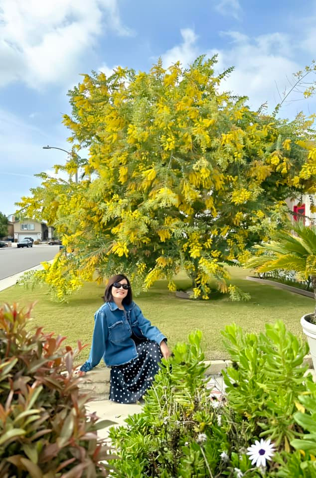 Bãi cỏ xanh mướt cùng cảnh quan hữu tình xung quanh làm nổi bật vẻ đẹp của khu vườn. Ảnh: FBNV