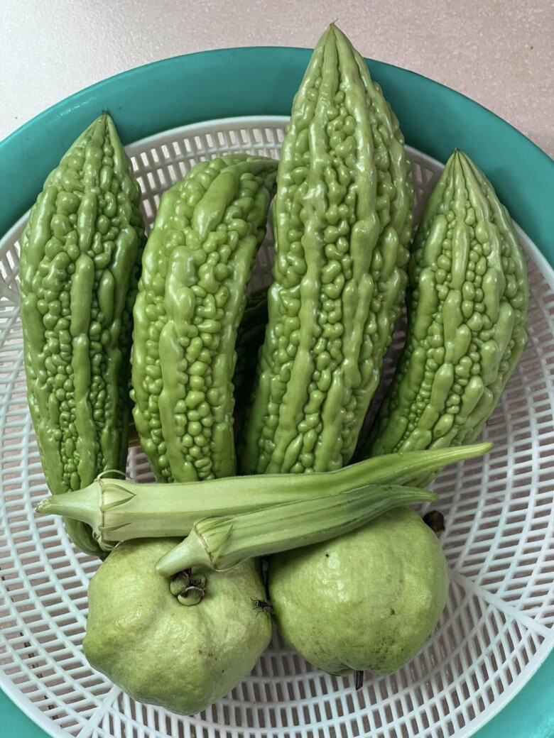 Ngoài ra, khu vườn của Cẩm Ly còn trồng khổ qua, ổi và đậu bắp. Ảnh: FBNV