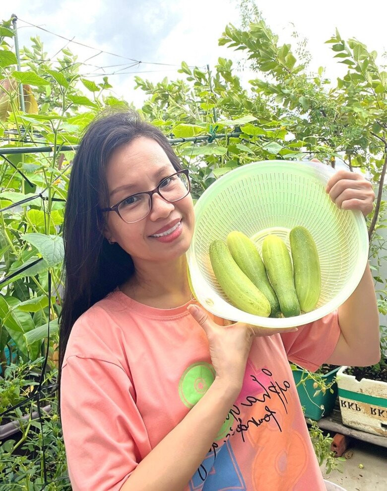 Dưa leo là một trong những loại cây Cẩm Ly trồng thành công trong vườn nhà. Ảnh: FBNV