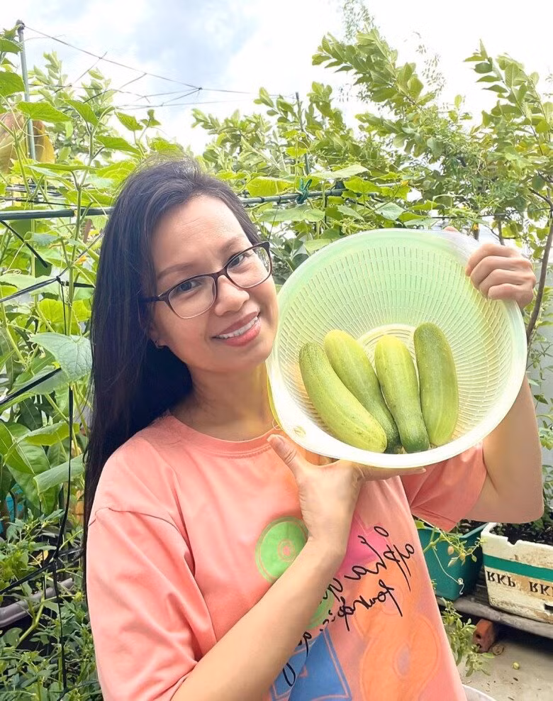 Dưa leo là một trong những loại cây Cẩm Ly trồng thành công trong vườn nhà. Ảnh: FBNV