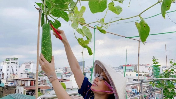 Việc trồng rau củ trên sân thượng không chỉ là biện pháp chữa lành mà còn giúp gia đình Cẩm Ly có thêm nguồn rau sạch. Ảnh: FBNV