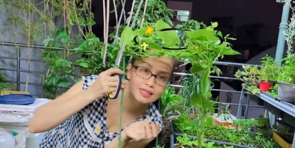 Nữ ca sĩ còn trồng cả bầu, bí. Ảnh: FBNV