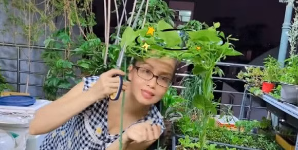 Nữ ca sĩ còn trồng cả bầu, bí. Ảnh: FBNV