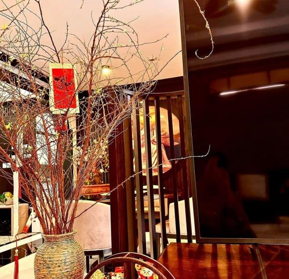 Cành thanh liễu dài giúp căn nhà tràn ngập sắc xuân. Ảnh: FBNV