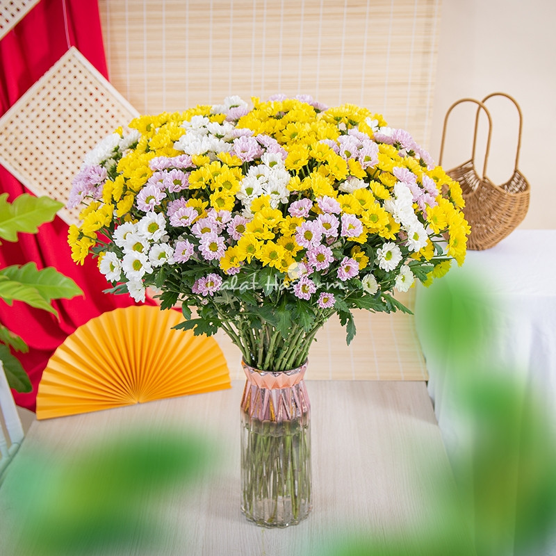 Một bình hoa cúc tươi trong phòng khách giúp gia chủ có một cuộc sống yên bình, sung túc. Ảnh: Dalat Hasfarm