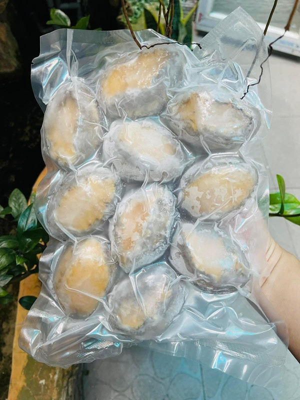 Bào ngư sau khi đánh bắt được chuyển cấp đông ngay nên giữ được độ tươi, chất lượng đảm bảo. Ảnh: Facebook