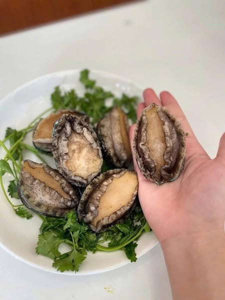 Vài năm gần đây, bào ngư Việt Nam xuất hiện nhiều hơn trên thị trường, sản lượng cao nên giá ở mức bình dân hơn. Ảnh: Facebook