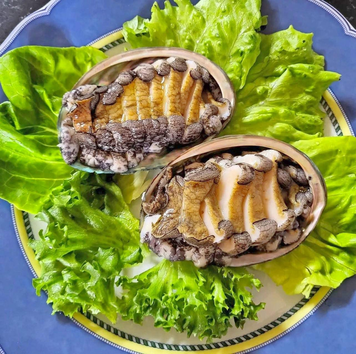 Trước đây, bào ngư tươi giá lên đến hàng triệu đồng/kg, trong khi bào ngư khô có thể lên tới hàng chục triệu đồng/kg. Ảnh: Facebook