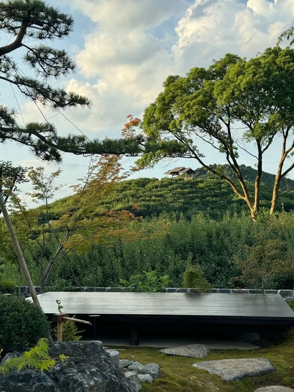 Vì vậy, họ đưa ra ý tưởng thiết kế với mỗi cửa sổ là một “bức tranh phong cảnh” thay đổi theo thời gian. Ảnh: The Paper