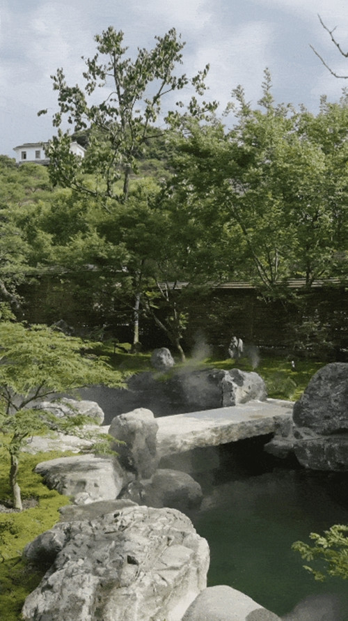 Phía bắc khu vườn có một con suối nhỏ với tầm nhìn ra vườn mận, có thể thiền hoặc ngắm hoàng hôn, ngắm sao. Ảnh: The Paper