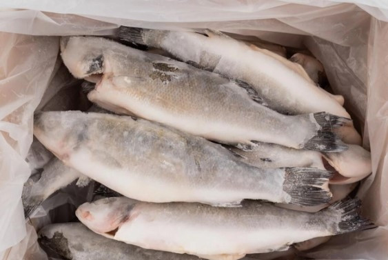 Cá đông lạnh quá lâu, thịt cá trắng xóa, cứng như đá cũng không nên do chúng không còn tươi ngon, thịt bở, dinh dưỡng cũng không còn nhiều. Ảnh: Internet
