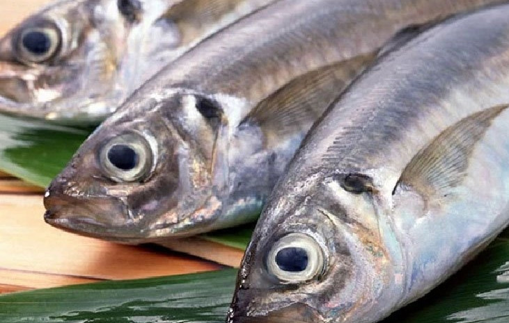 Ngoài ra, cá có mùi dầu hỏa cũng không nên mua vì có thể chúng sinh trưởng trong môi trường nước thải công nghiệp chứa nhiều kim loại nặng, cơ thể chứa một lượng độc tố lớn. Ảnh: Upto