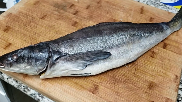 Cá tươi có vảy (hoặc da) sáng bóng, lấp lánh như kim loại, các vảy phải được xếp lớp chặt chẽ, giống như mái ngói. Ảnh: Internet