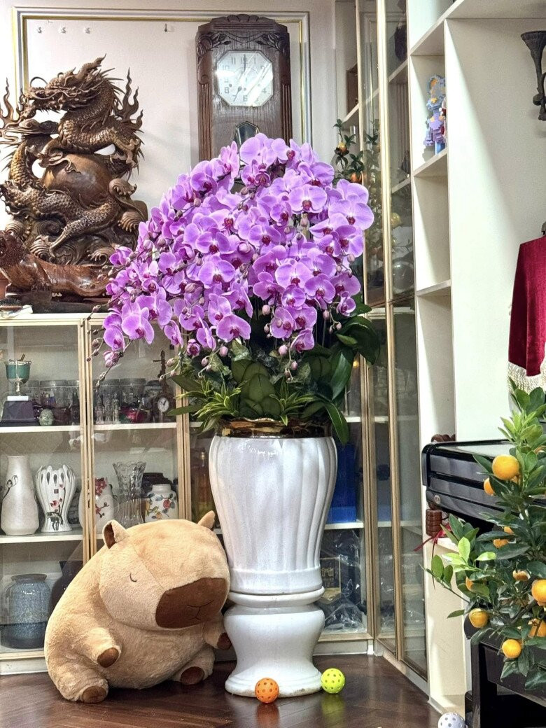 Nhiều người cho rằng Tết đã đến sớm với gia đình nam nghệ sĩ khi tràn ngập cả "rừng" lan. Ảnh: FBNV