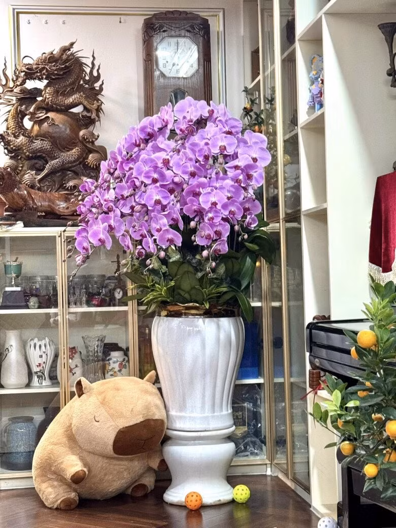 Nhiều người cho rằng Tết đã đến sớm với gia đình nam nghệ sĩ khi tràn ngập cả "rừng" lan. Ảnh: FBNV