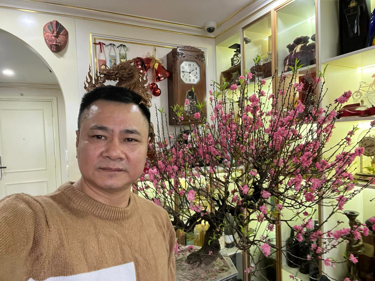 Chậu đào bung nở rực rỡ một góc nhà. Ảnh: FBNV