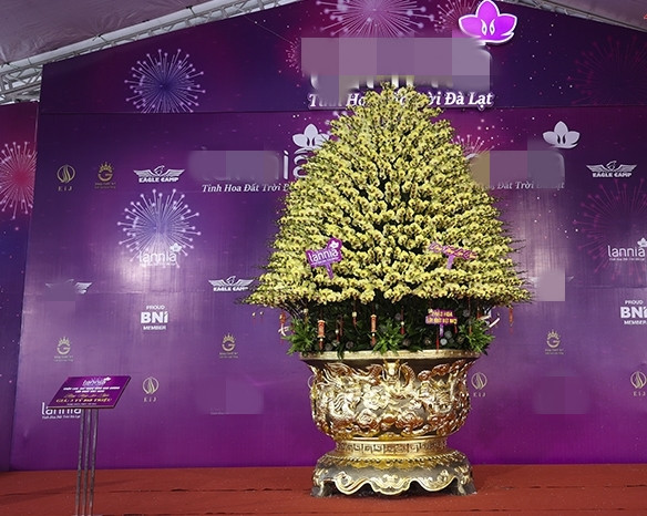 Gần Tết Nguyên đán Ất Tỵ 2025, thị trường hoa cây cảnh trở nên sôi động. Đáng chú ý nhất là chậu lan dát vàng được chủ nhân định giá 3,868 tỷ đồng. Ảnh: Baotintuc