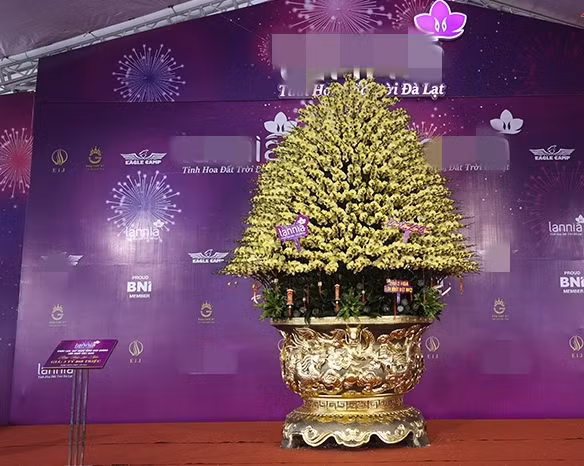 Gần Tết Nguyên đán Ất Tỵ 2025, thị trường hoa cây cảnh trở nên sôi động. Đáng chú ý nhất là chậu lan dát vàng được chủ nhân định giá 3,868 tỷ đồng. Ảnh: Baotintuc