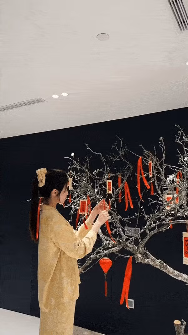 Nàng hậu còn tỉ mẩn trang trí nhiều đèn lồng, câu đối, ruy băng đỏ lên cành mận để thêm không khí mùa xuân. Ảnh: @doha_20.07