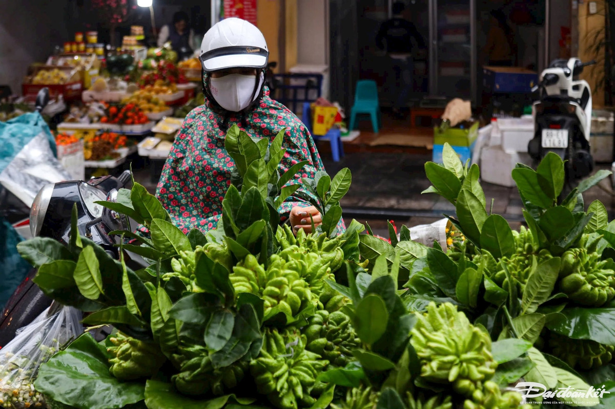 Phật thủ cũng là một trong những mặt hàng được nhiều người ưa chuộng, tùy vào chất lượng của quả sẽ có giá khác nhau từ vài chục cho tới hàng trăm ngàn/quả.
