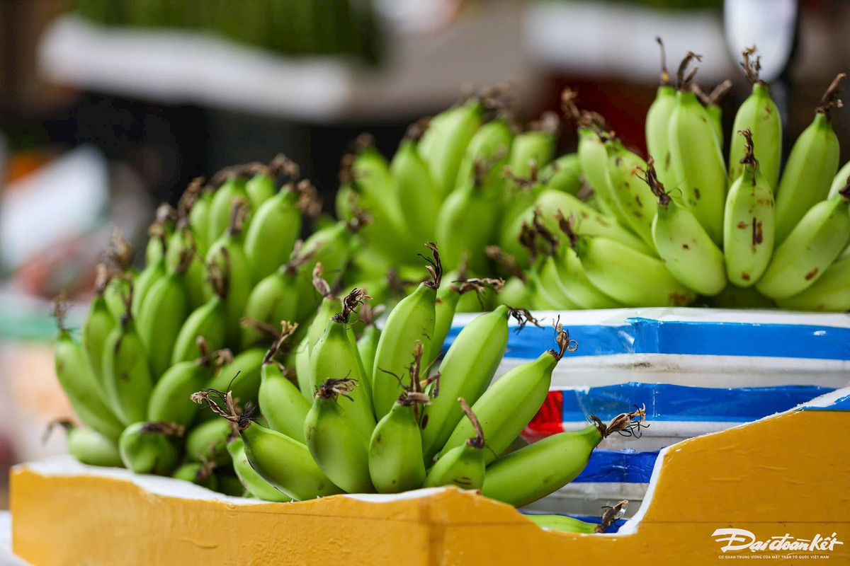 Khác với cái giá “ngất ngưởng” như đợt Tết Nguyên đán, chuối xanh dịp Rằm tháng Giêng đã giảm nhiệt đáng kể, có giá từ 40.000 - 60.000 đồng/nải, nải đẹp, số quả lẻ và đều thì có giá từ 100.000 đến 130.000 đồng/nải.