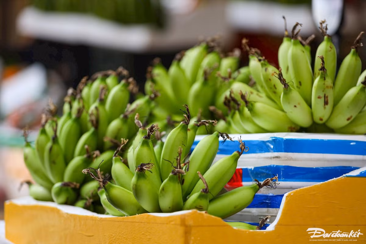 Khác với cái giá “ngất ngưởng” như đợt Tết Nguyên đán, chuối xanh dịp Rằm tháng Giêng đã giảm nhiệt đáng kể, có giá từ 40.000 - 60.000 đồng/nải, nải đẹp, số quả lẻ và đều thì có giá từ 100.000 đến 130.000 đồng/nải.